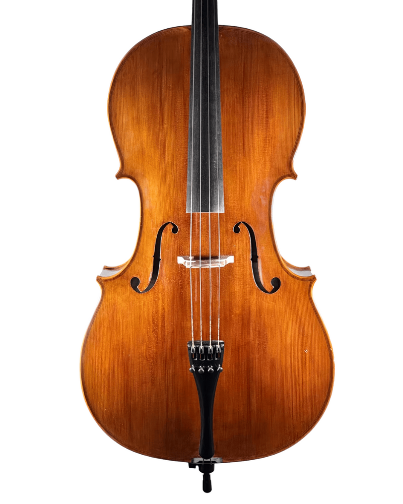 Violoncelo do autor Rogério Fagundes