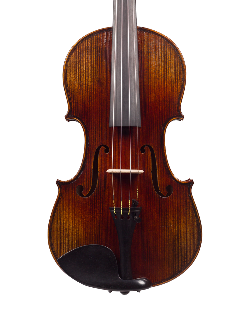 Violino feito à mão verniz à óleo, fundo inteiro