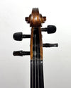 Violino Eagle Series VE244