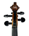Violino Sternberg Armin és Testvére Modelo Maggini