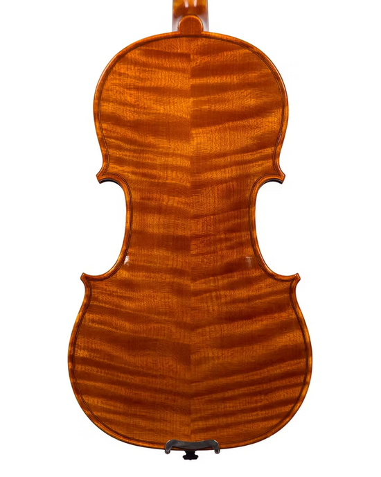 Violino do autor Rogério Fagundes, 2024