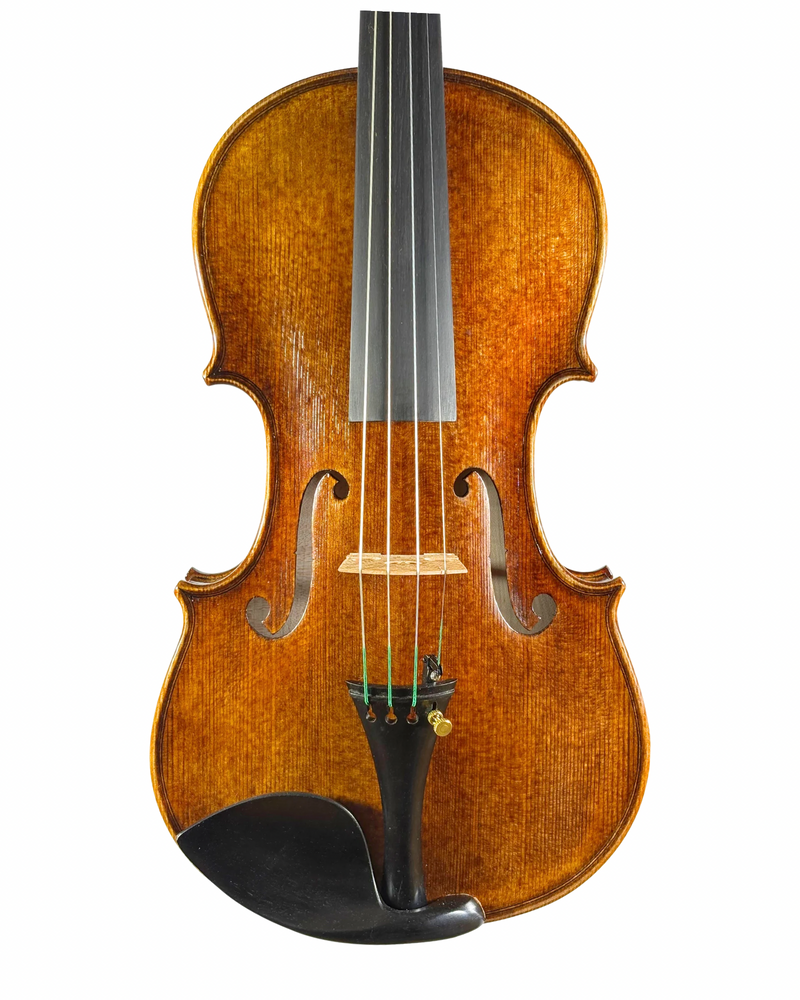 Violino "Spalla"