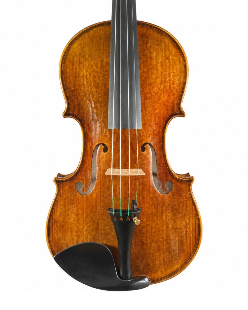 Violino "Spalla"