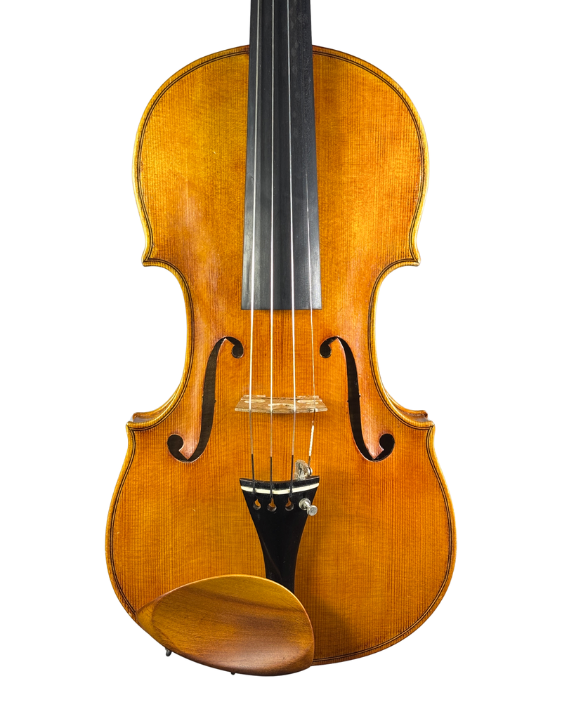 Violino do Autor Thiago Paulino de Oliveira, 2024