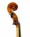 Violino Modelo Strad.