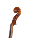 Violino feito à mão verniz à óleo, fundo inteiro