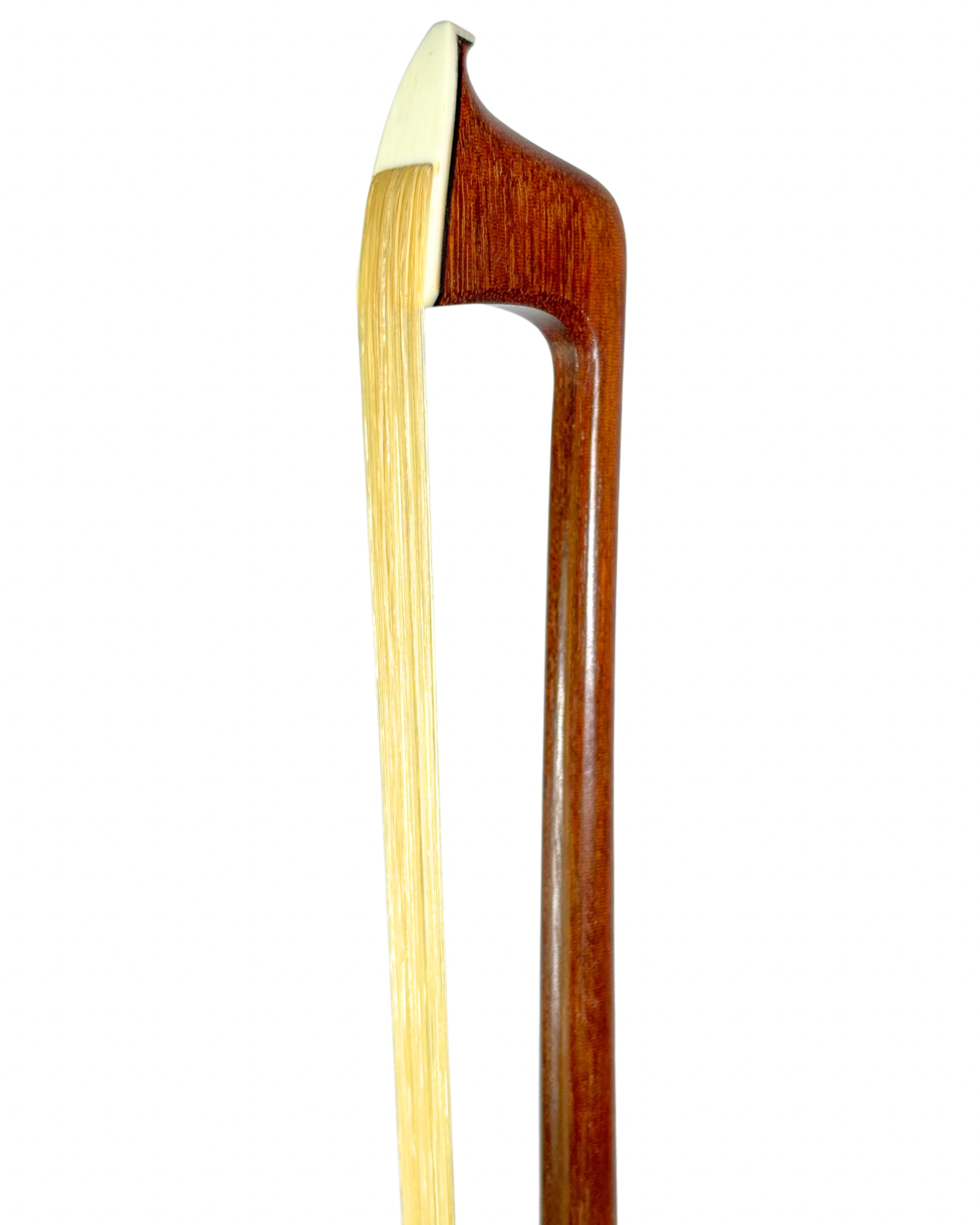 Arco de Violino do Autor Luciano Fagundes em Ipê