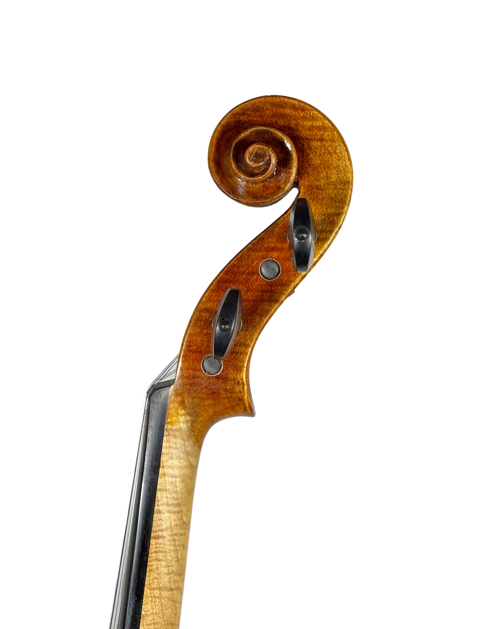Violino "Spalla"