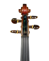 Violino Antigo Modelo Gagliano