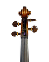 Violino Johannes Crucis Finnanzza, 1986