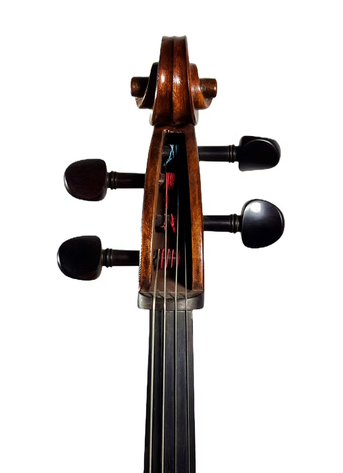 Violoncelo 4/4 Anima Instrumentos