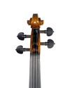 Violino "Spalla"