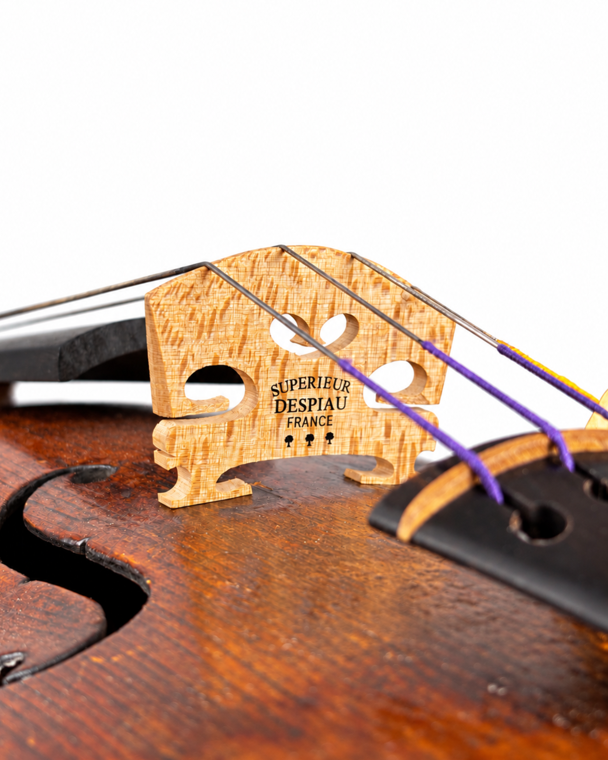 Violino Alemão Antigo de Autor Desconhecido
