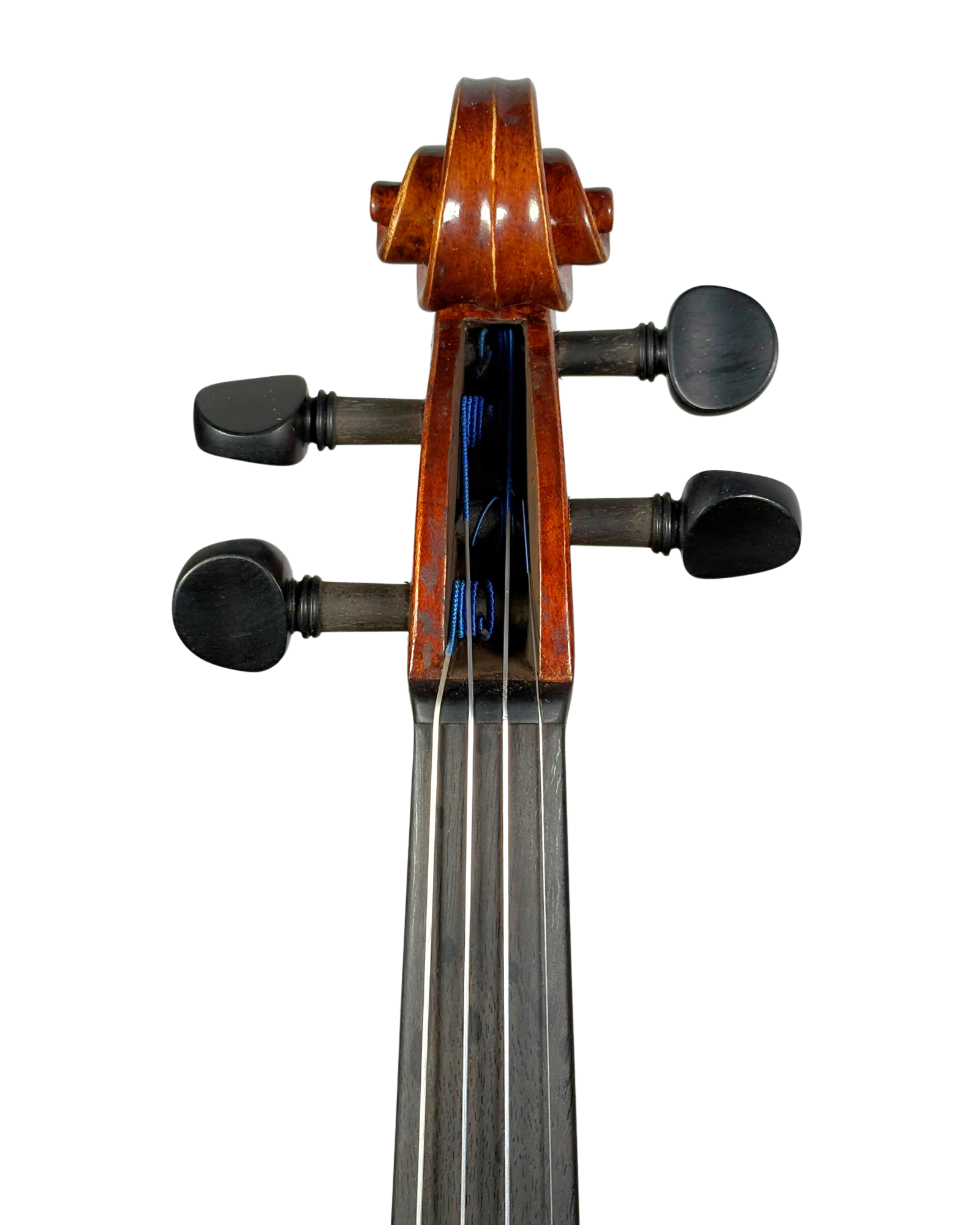 Violino Daniel Fukushima Beim, São Paulo 2025