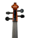 Violino Daniel Fukushima Beim, São Paulo 2025