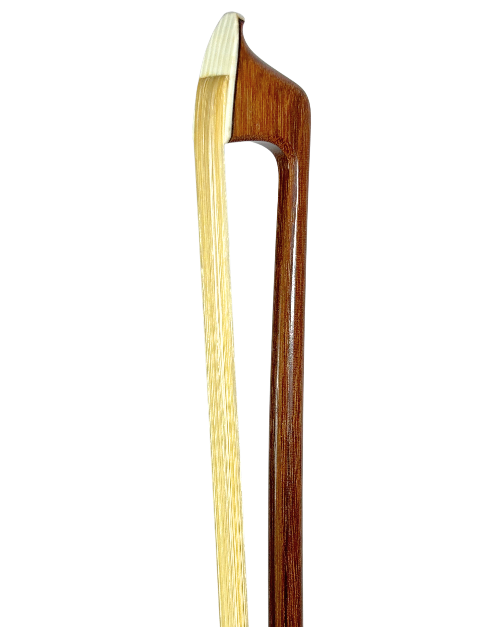 Arco de Violino do Autor Luciano Fagundes em Ipê