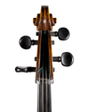 Violoncelo Antigo