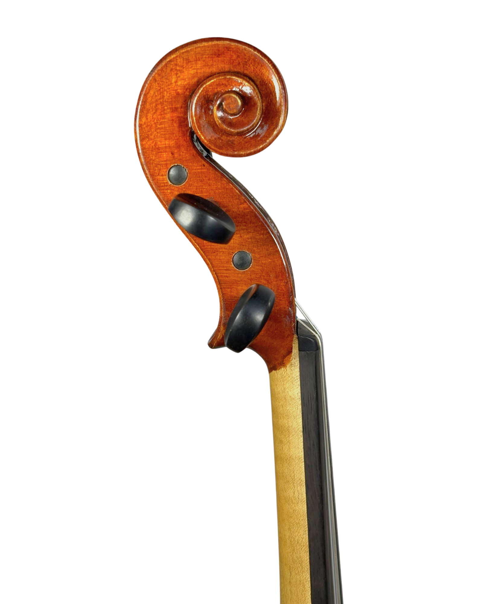 Violino Daniel Fukushima Beim, São Paulo 2025