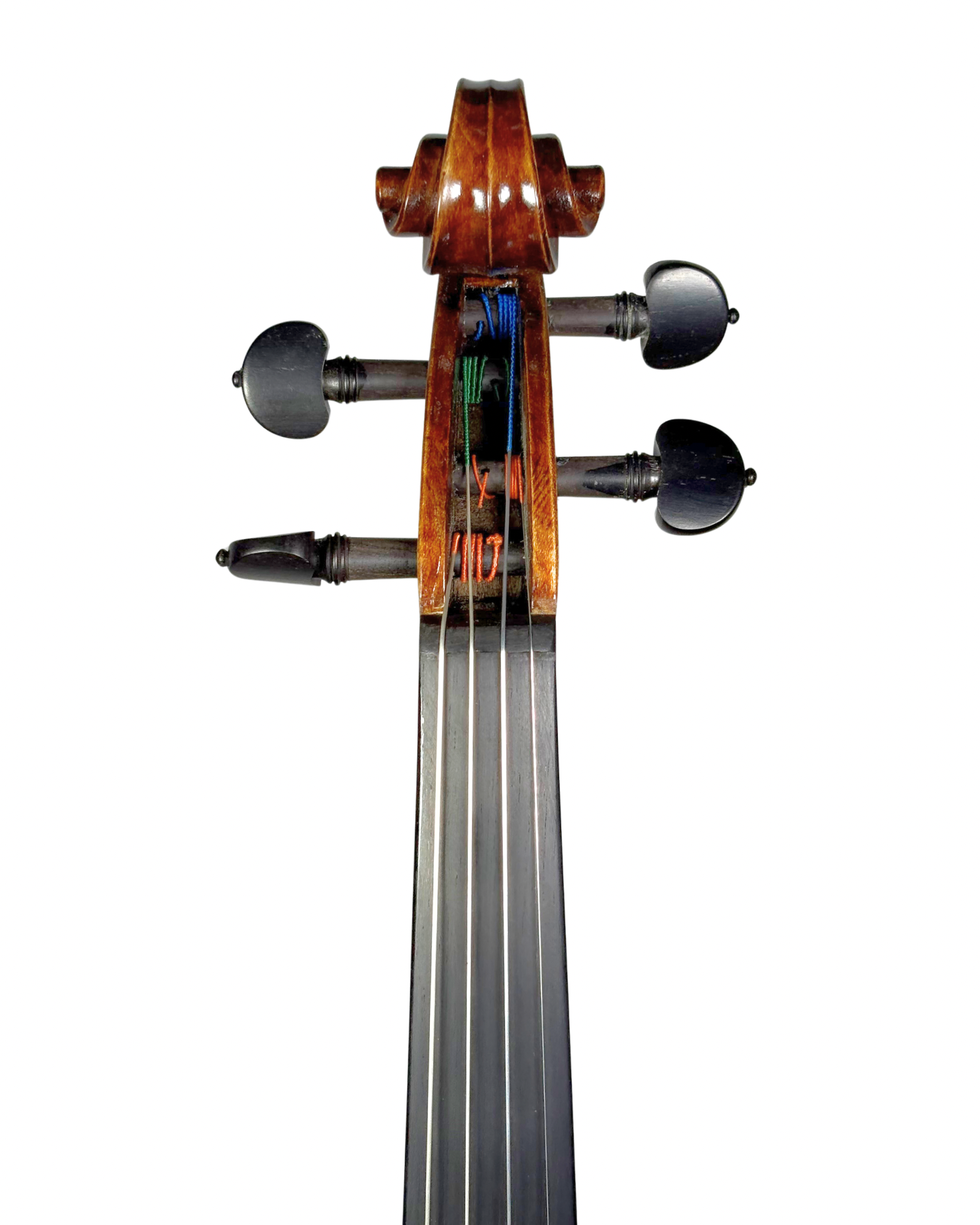 Violino "Spalla"