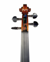 Violino "Spalla"