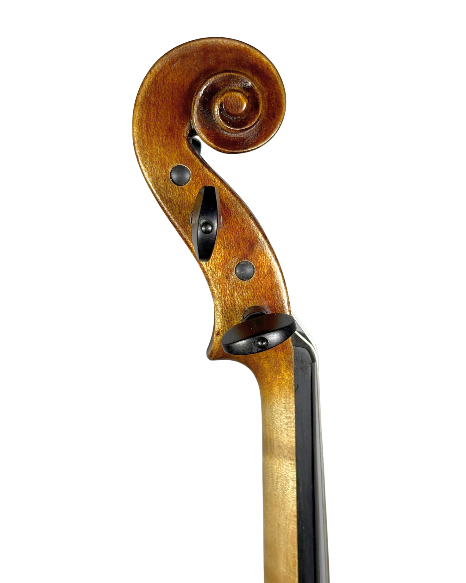 Violino "Spalla"