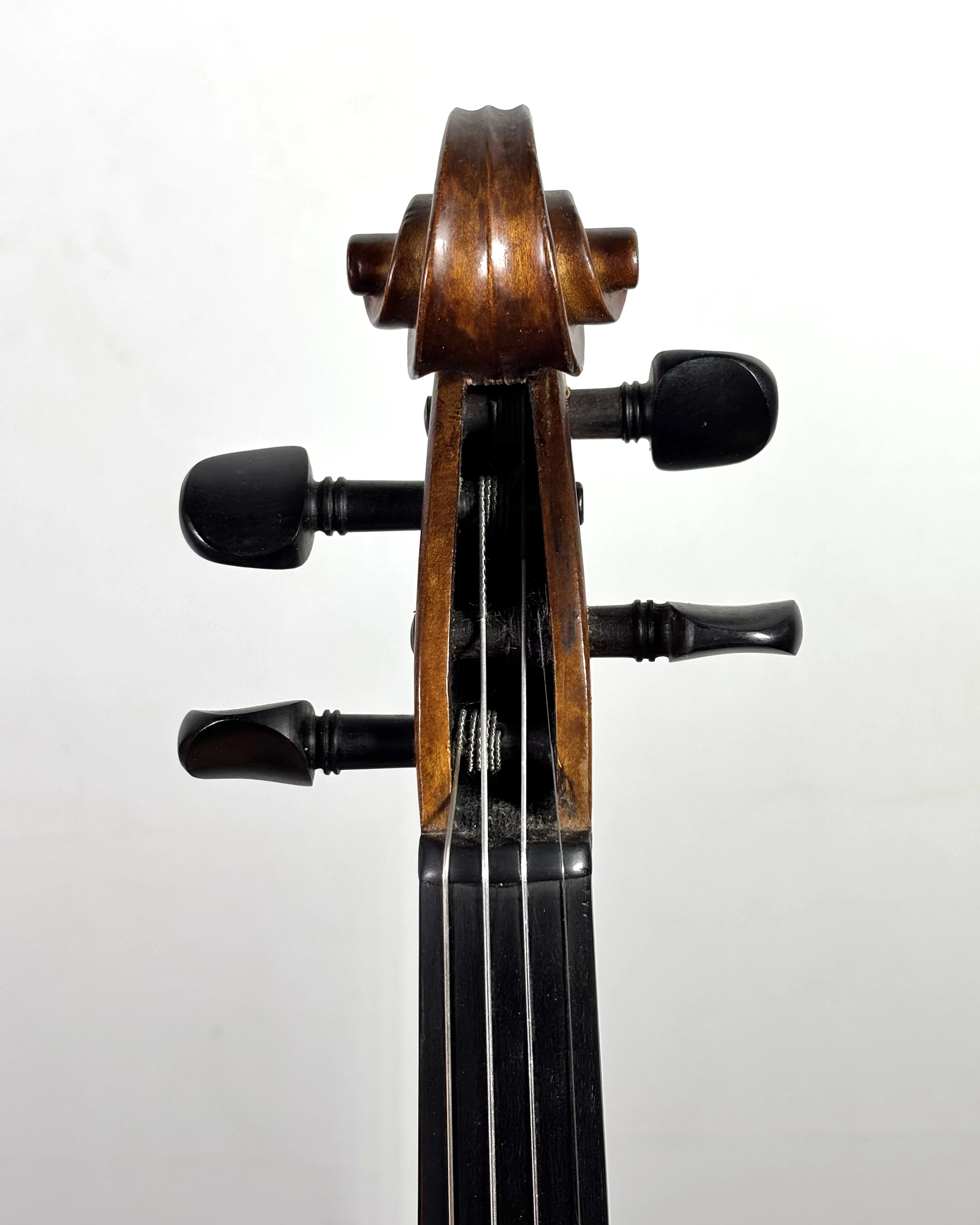 Violino Eagle Series VE244