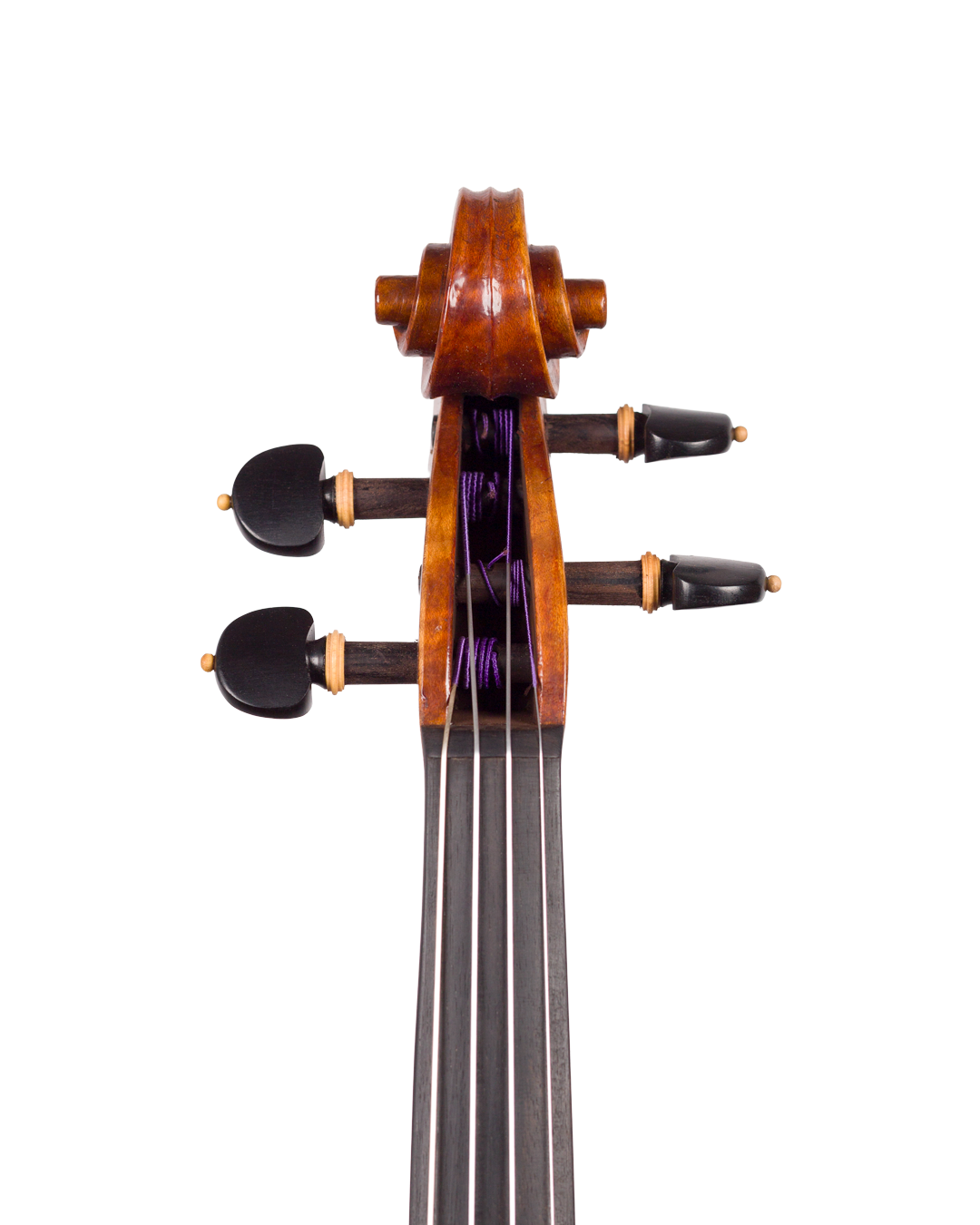 Violino do autor Rogério Fagundes, 2025