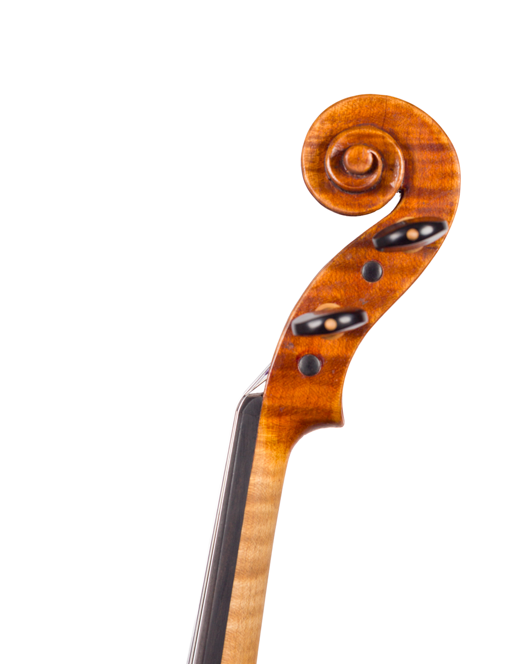 Violino do autor Rogério Fagundes, 2025