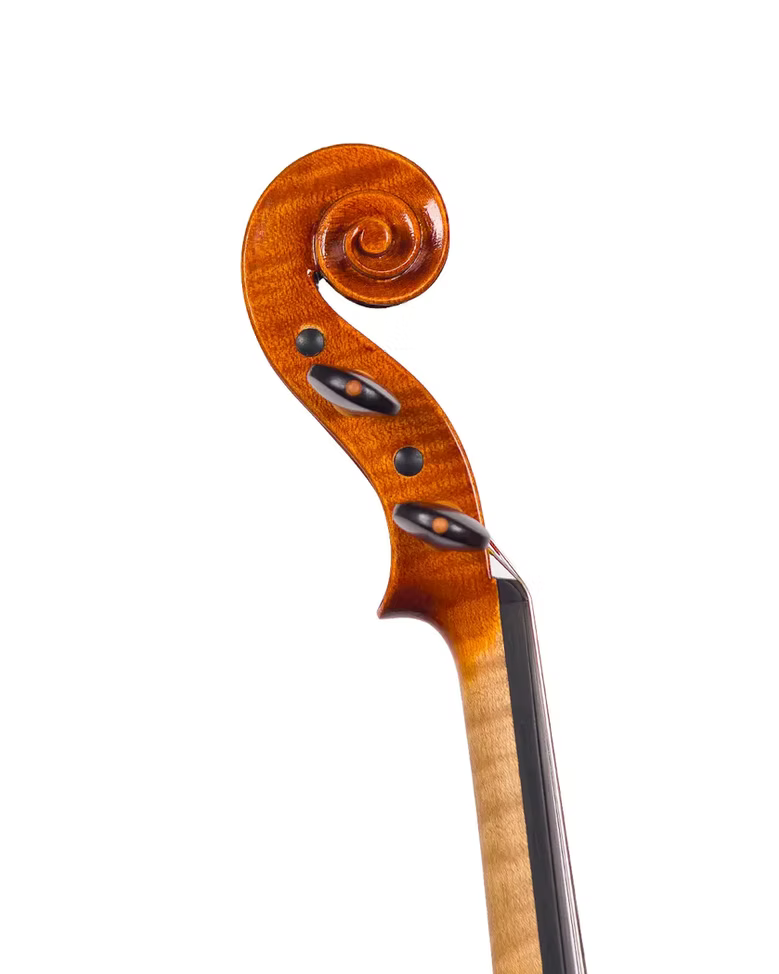 Violino do autor Rogério Fagundes, 2024