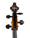 Violoncelo alemão antigo