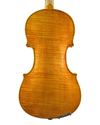 Violino do Autor Thiago Paulino de Oliveira, 2024