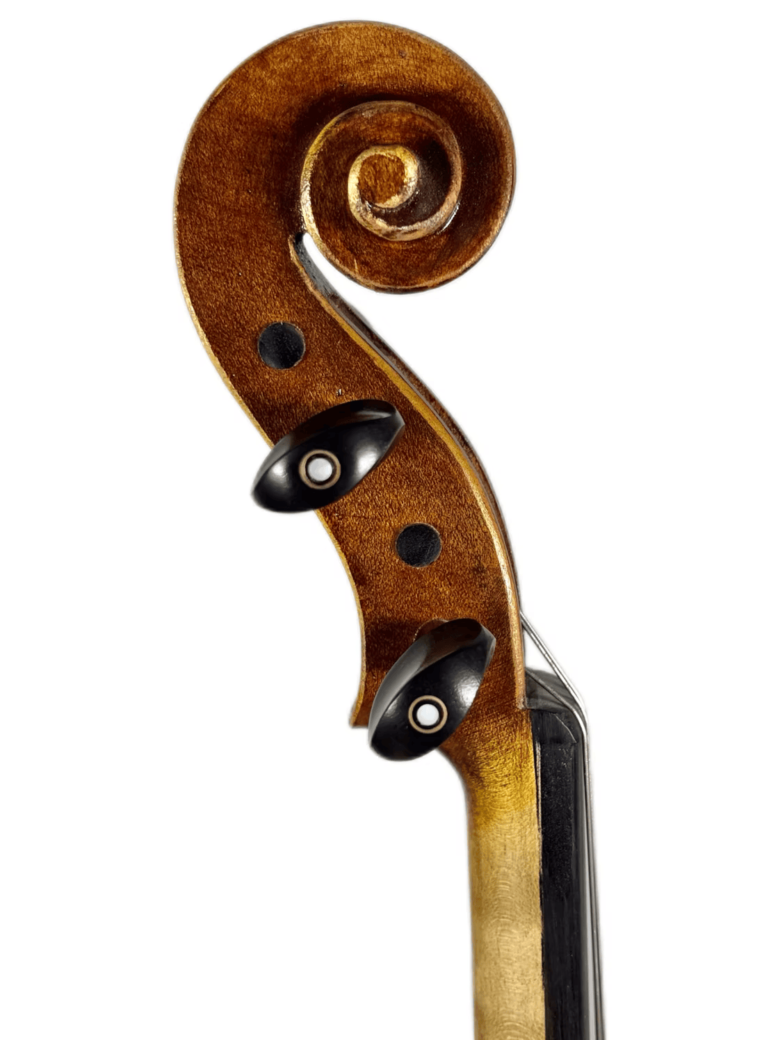 Viola 40,5 cm da marca Anima Instrumentos