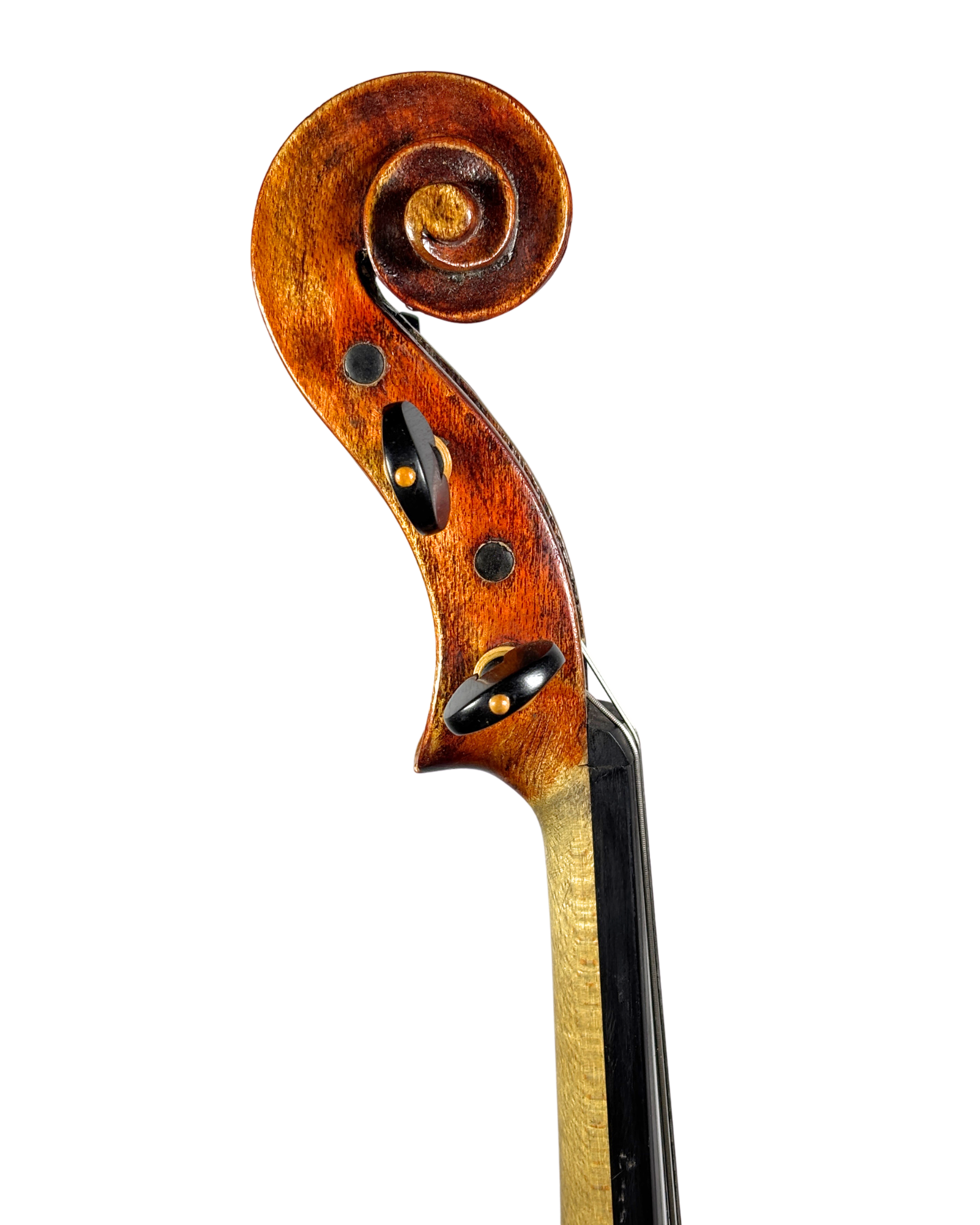 Viola de Workshop Modelo Strad.