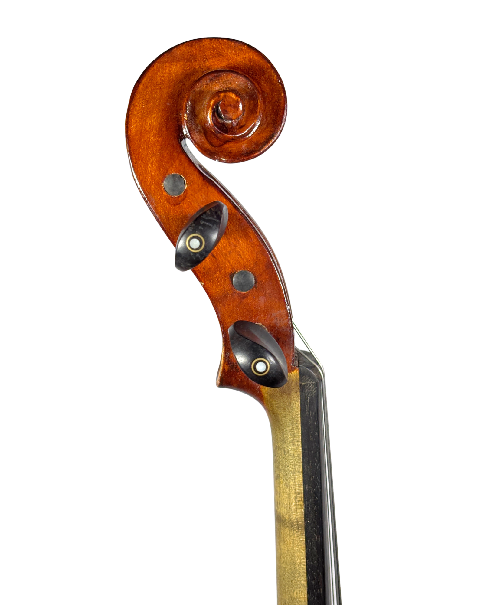 Viola "Anima Instrumentos" Tamanho 42 cm