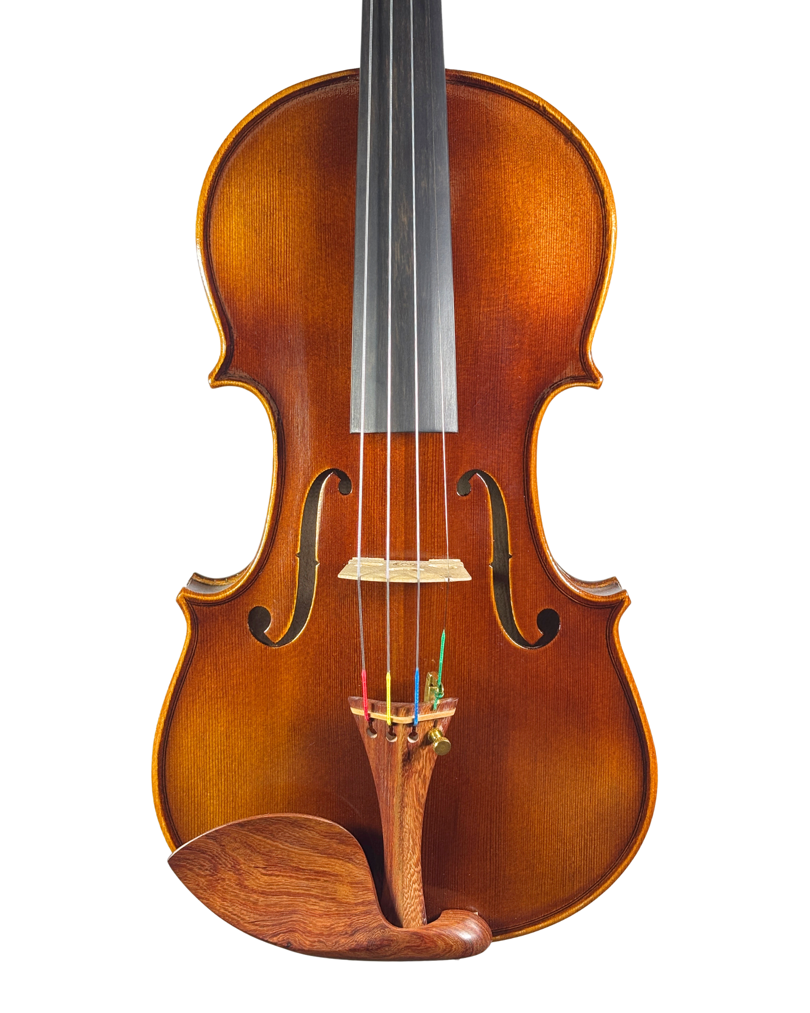 Violino "Cantabile" Fundo Inteiro