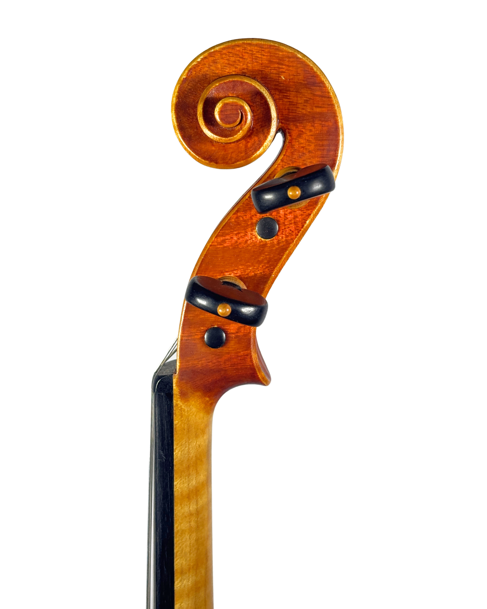 Violino Italiano de Autor, 2012