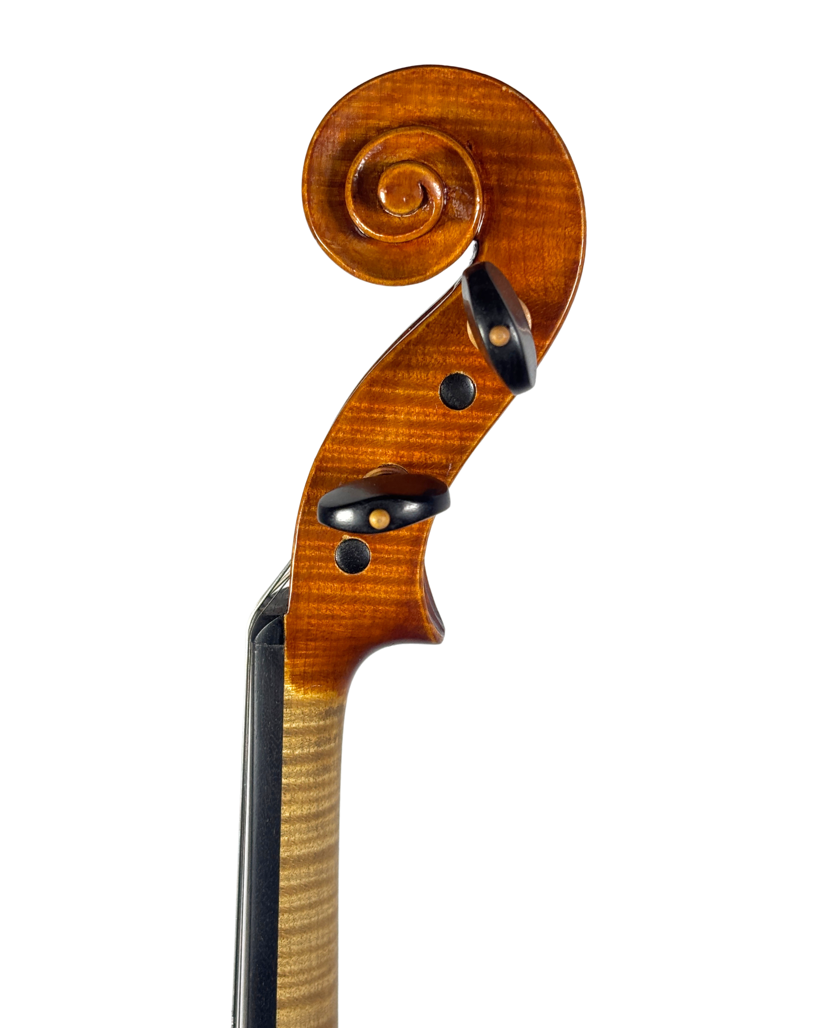 Violino Rogério Fagundes, 2023