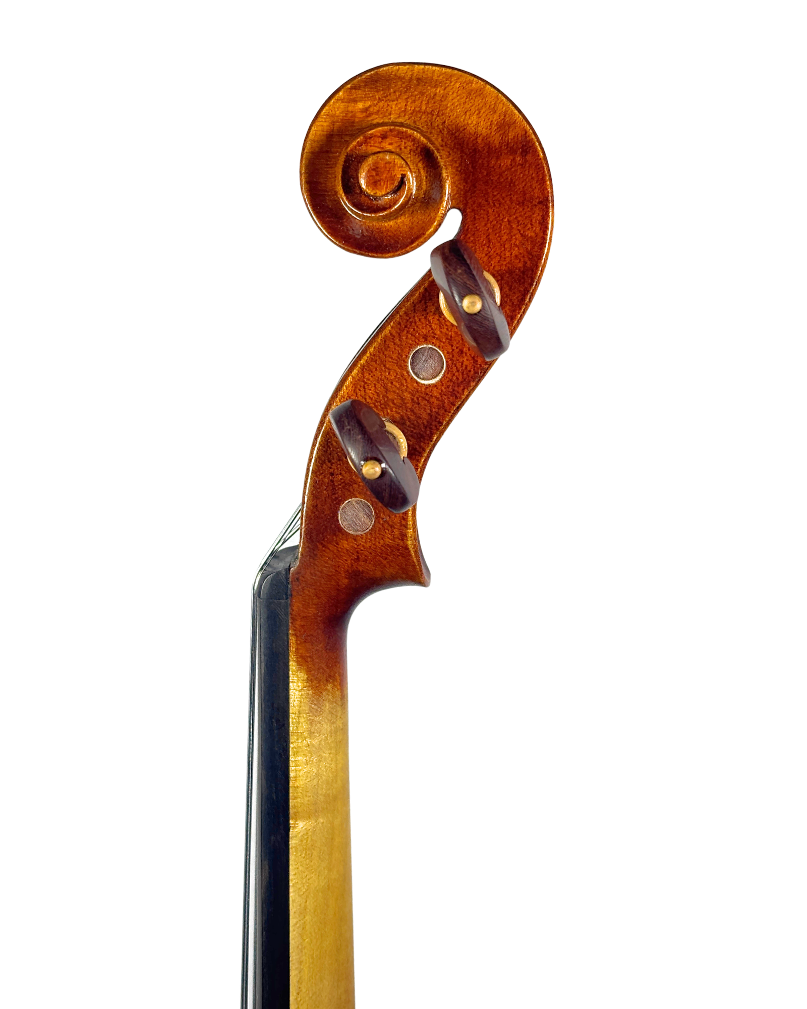 Violino "Cantabile"