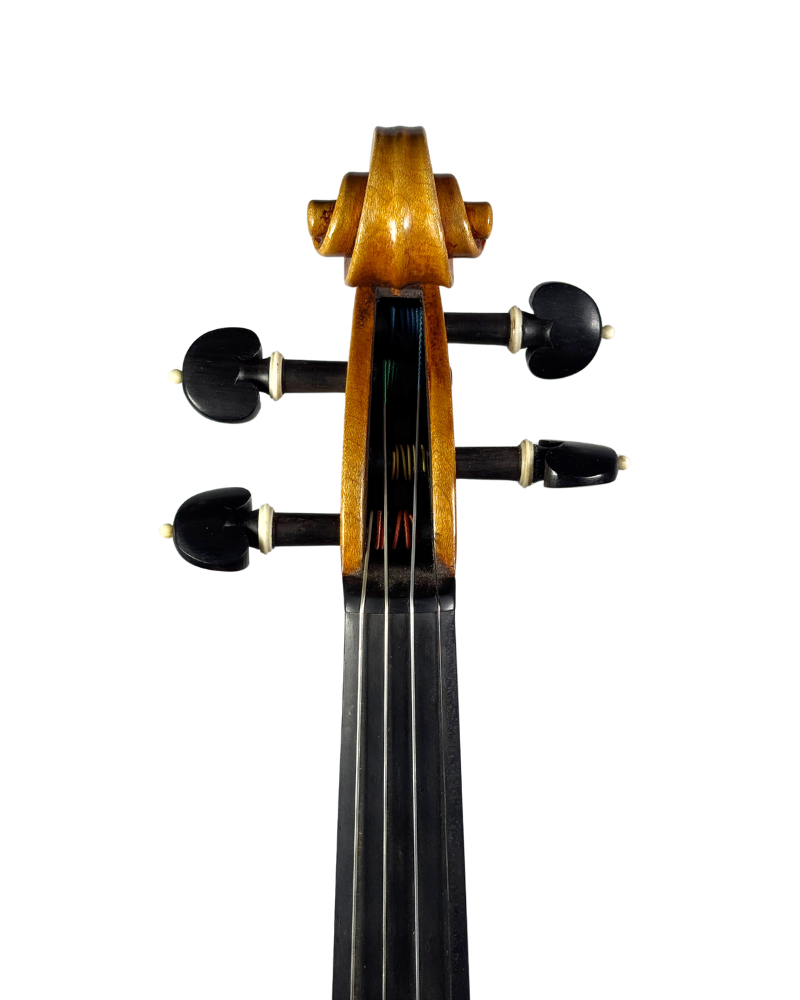 Violino do Autor Thiago Paulino de Oliveira, 2024