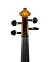 Violino do Autor Thiago Paulino de Oliveira, 2024