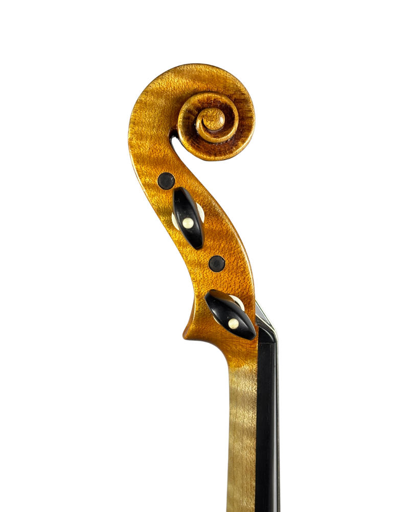 Violino do Autor Thiago Paulino de Oliveira, 2024